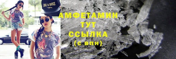 PSILOCYBIN Алзамай